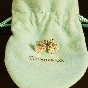 Tiffany & Co. Earrings